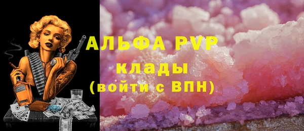 стафф Щигры