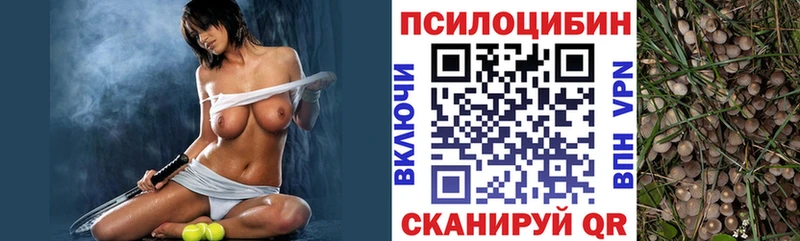 где купить наркотик  Тында  Галлюциногенные грибы мицелий 